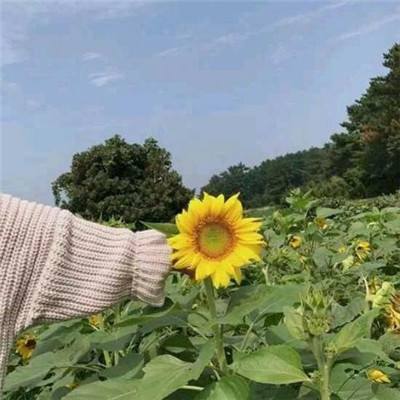 成语小地主游戏下载
