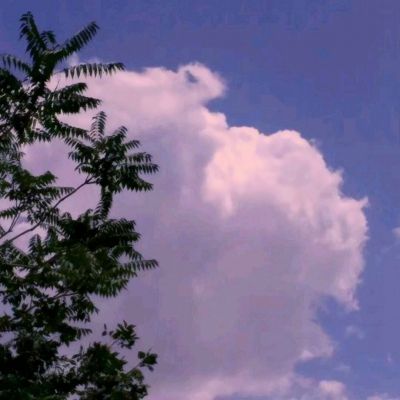 火星未来游戏下载